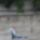 20070922_121217_parizs_588351_40818_t