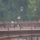 20070922_121432_parizs_588357_73478_t