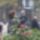 20070922_121512_parizs_588358_22993_t