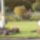 20070922_170537_parizs_588510_48039_t