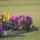 20070922_170833_parizs_588516_62558_t