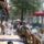 20070923_154639_parizs_588718_78584_t