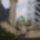 20070923_170405_parizs_588761_83638_t