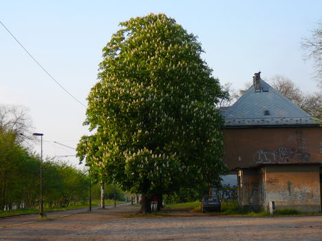 Varsányi állomásrol megközelittés