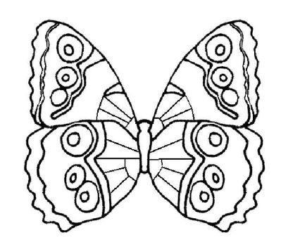 coloriage-papillon-12_gif