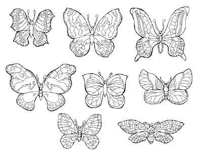 coloriage-papillons-5_gif
