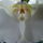 Joe_orchideai_3-001_595276_95154_t