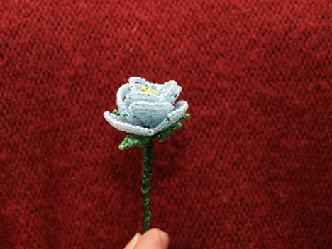Kék rózsa 