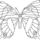 Lepke01_595006_44996_t