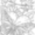 Lepke8_595013_86994_t