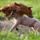 Jatek__599819_65767_t