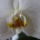 Vegyeske_004_599357_97129_t