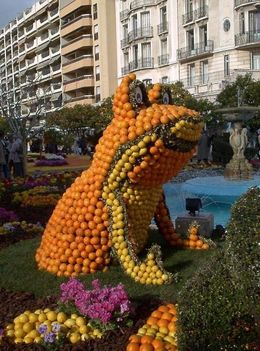 Citrom, narancs fesztivál  21