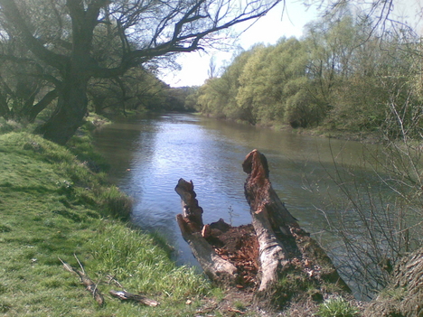 Ipoly folyó áprilisban