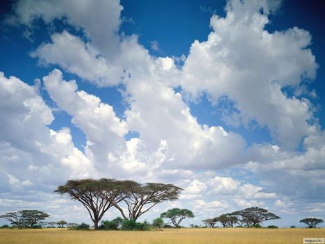 Masai Mara Nemzeti Park, Kenya
