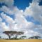 Masai Mara Nemzeti Park, Kenya