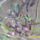 Kibirta_a_hunyor_a_ho_alatt_611280_42029_t