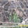 Mar_bujik_a_hovirag_611274_56643_t