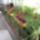 Viragok_2008_611958_53982_t