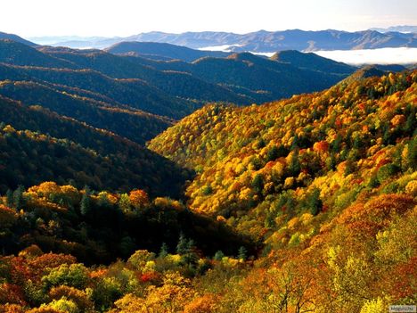 Deep Creek völgy, Great Smoky Mountains Nemzeti Park, Tennessee, USA