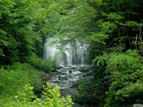 Miegs-vízesés, Smoky Mountains Nemzeti Park, USA