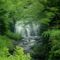 Miegs-vízesés, Smoky Mountains Nemzeti Park, USA
