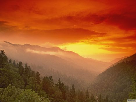 Naplemente a Great Smoky Mountains Nemzeti Parkban, Tennessee, USA