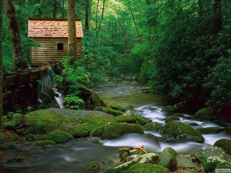 Reagan Mill, Great Smoky Mountains Nemzeti Park, Tennessee, USA