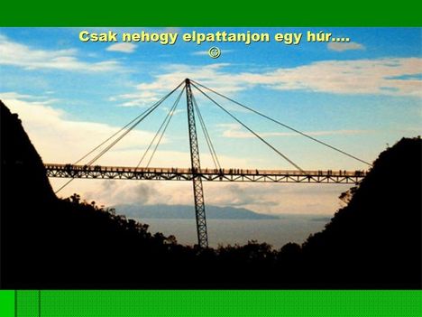 Egyoszlopos híd Malajziában  8