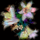 588210_46238_n_616280_11771_t
