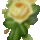 613379_73634_n_616285_54518_t