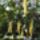 Cimg7856_616973_53280_t