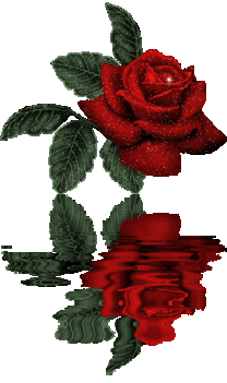 csillogó rózsa