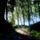 Dsc00272_616914_55868_t