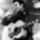 Elvispresley0814071_616180_82835_t
