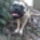 Kep0399_616399_58718_t