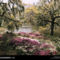Middletown Gardens, Middleton Place, South Carolina, 1938