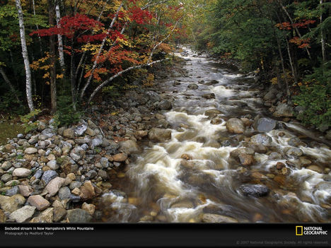 Mountain Stream, New Hampshire, 1995