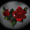 villogó rózsa