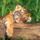 A_valtozatossag_kedveert_617789_10128_t