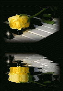 zongora rózsával