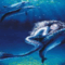 delfin, 7