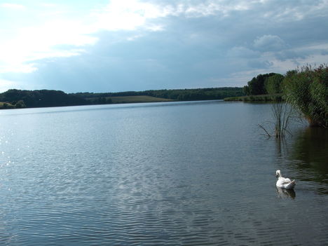 Deseda tó