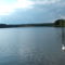 Deseda tó