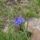 Cimg1855_610596_14354_t
