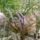 Cimg1857_610597_18708_t