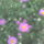 Csillagtenger_622114_76678_t