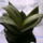 Kep_254_622906_28051_t