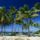 Coconut_palms_taunga_island_vavau_island_group_tonga_624979_88250_t