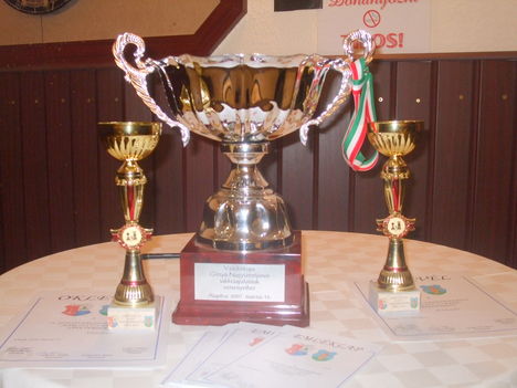 Március 15-e kupa 2010. 1